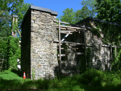 Colden Mansion Ruins