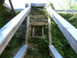 Colden Mansion Ruins