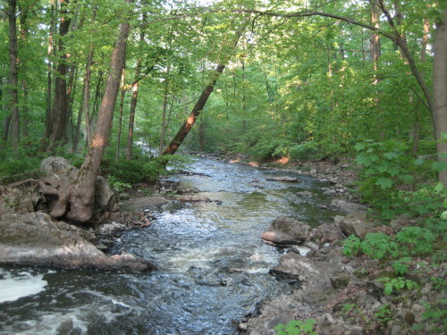 Algonquin Park